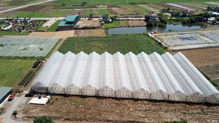VN's agriculture sector targets growth between 3.2-4% in 2024